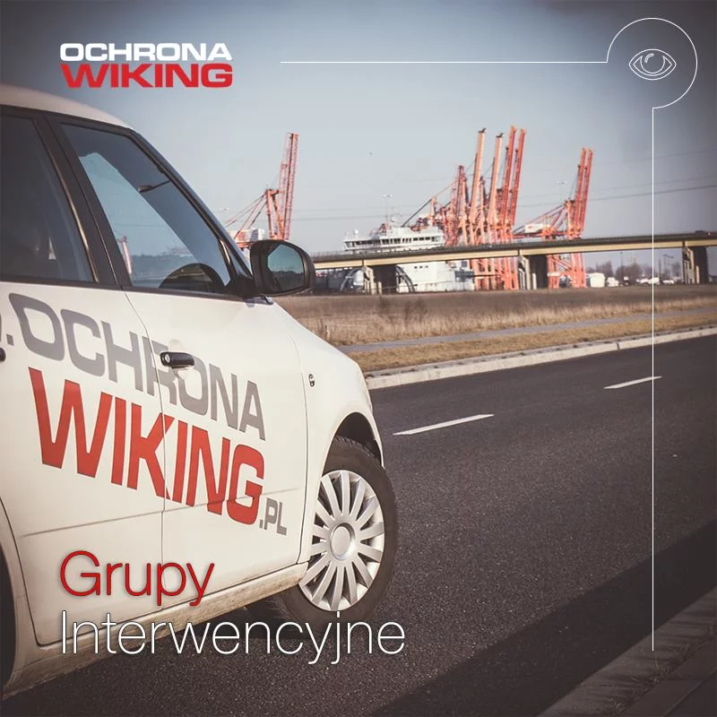 Ochrona Wiking
