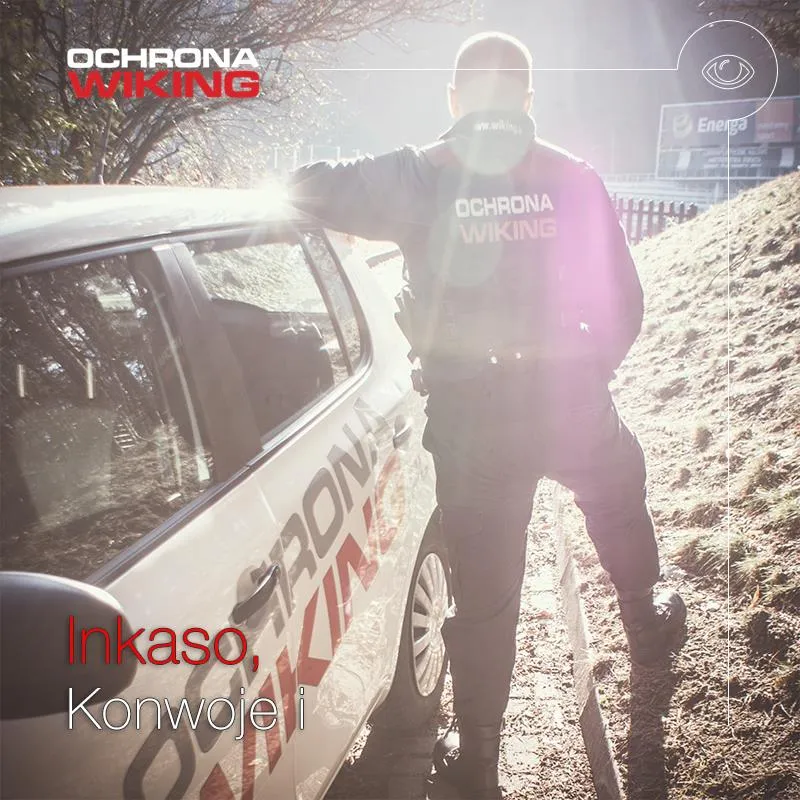 Ochrona Wiking